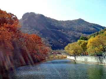 新澳天天开奖资料大全旅游团，七夜强宠免费阅读